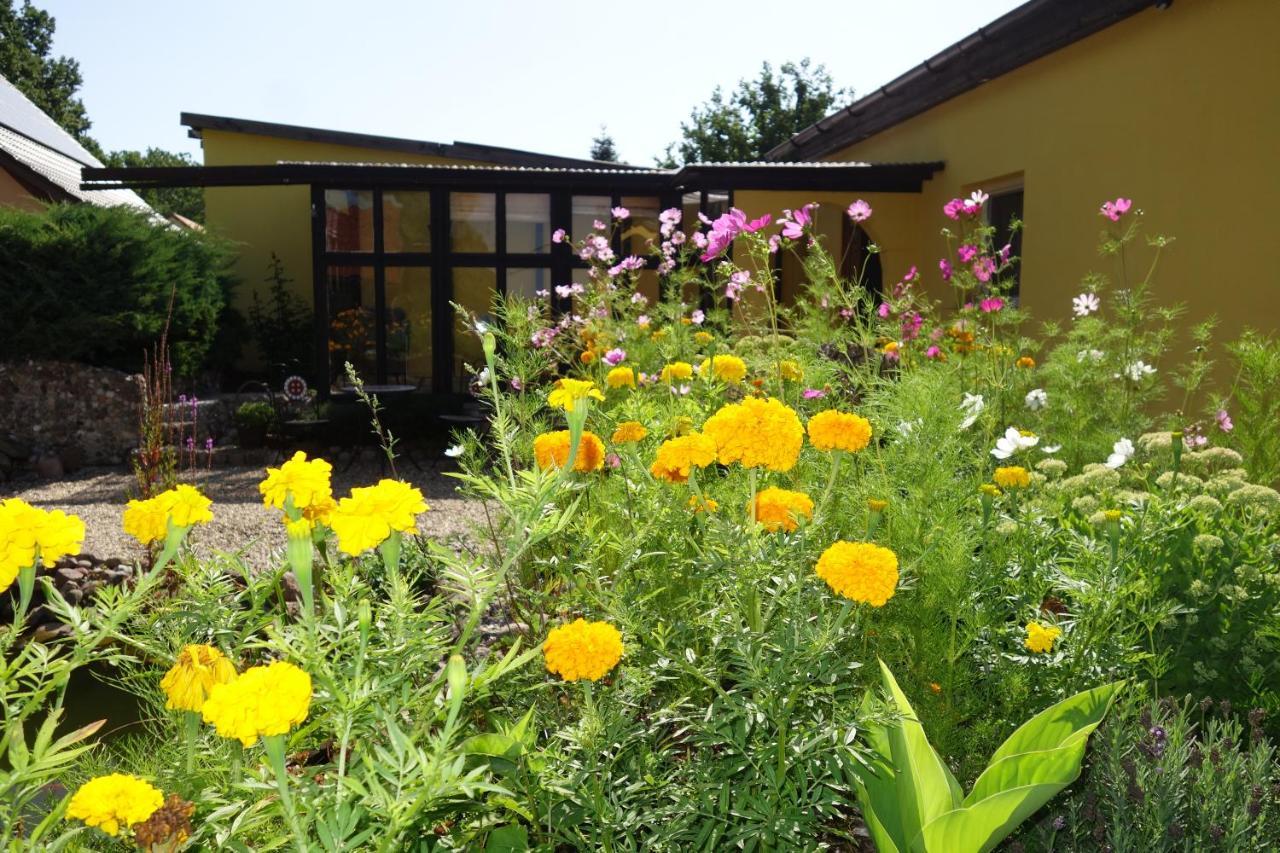 Ferienhaus "Am Gutspark" Alt Tucheband Luaran gambar