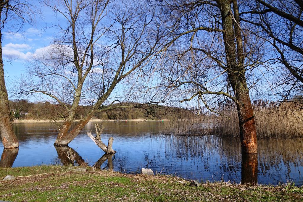Ferienhaus "Am Gutspark" Alt Tucheband Luaran gambar