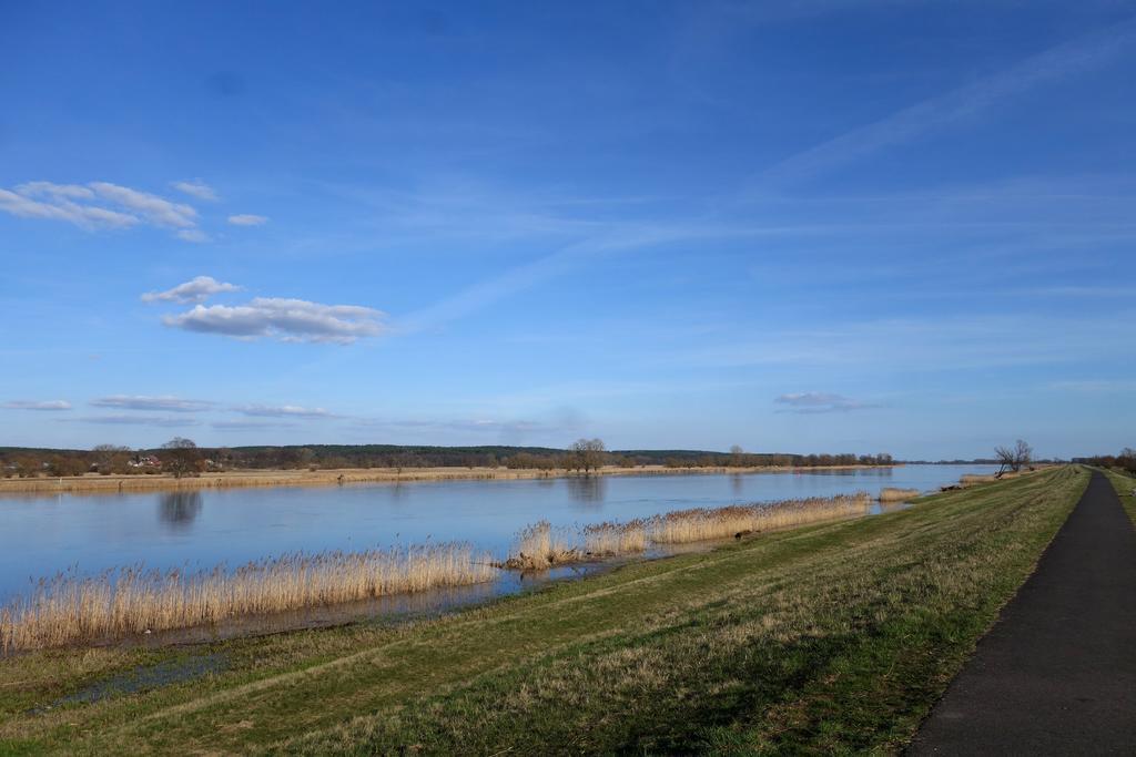 Ferienhaus "Am Gutspark" Alt Tucheband Luaran gambar