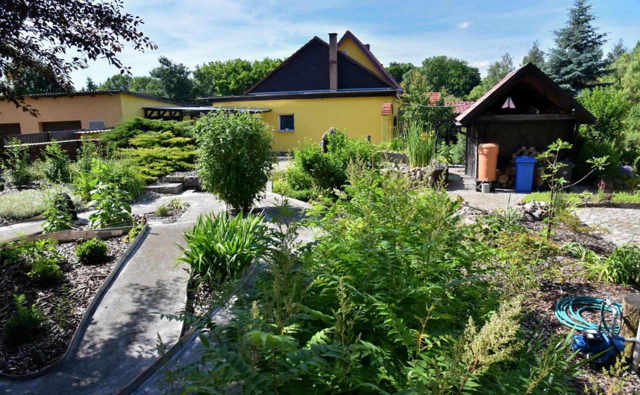 Ferienhaus "Am Gutspark" Alt Tucheband Luaran gambar